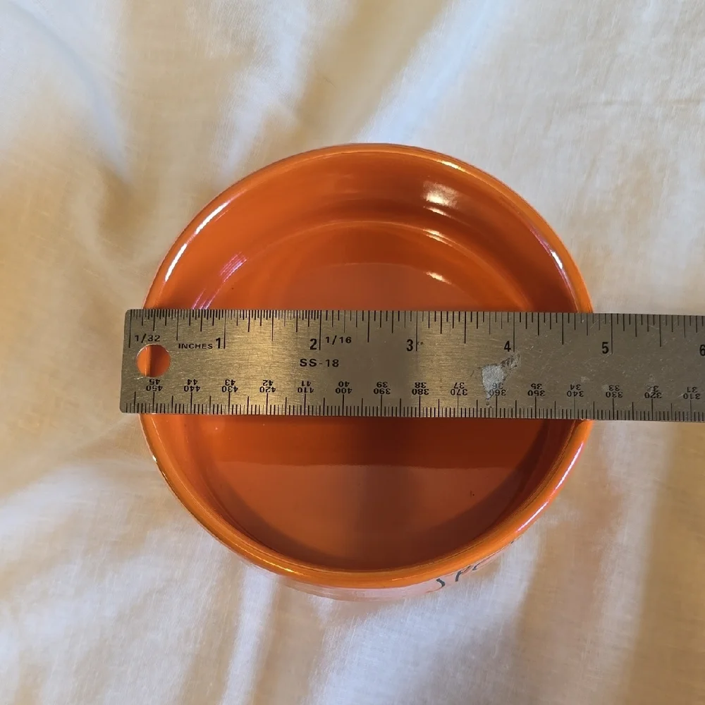 Rae Dunn Spooky Orange Artisan Collection Halloween Pet Bowl